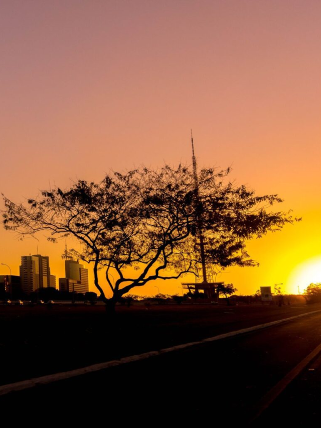 Quais são os bairros mais seguros de Brasília?
